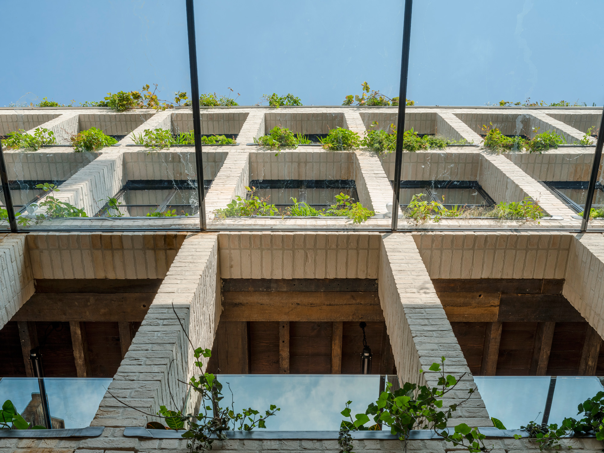 Green wall by Morrow + Lorraine - contemporary architecture design studio in London
