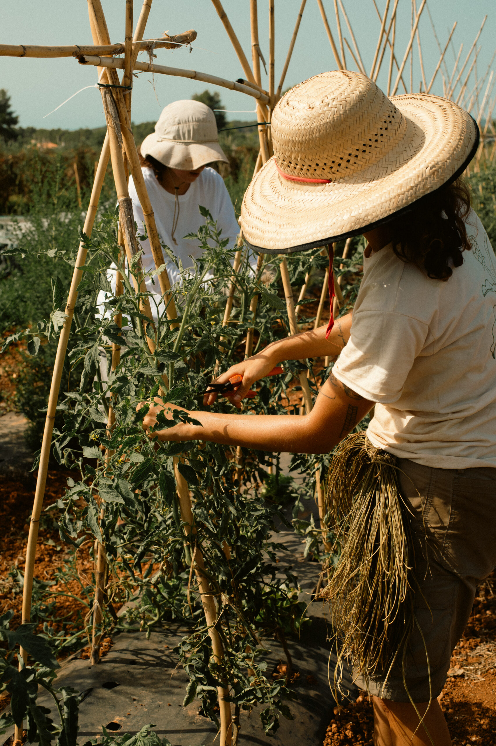 2501_farming__ISH6232_HR
