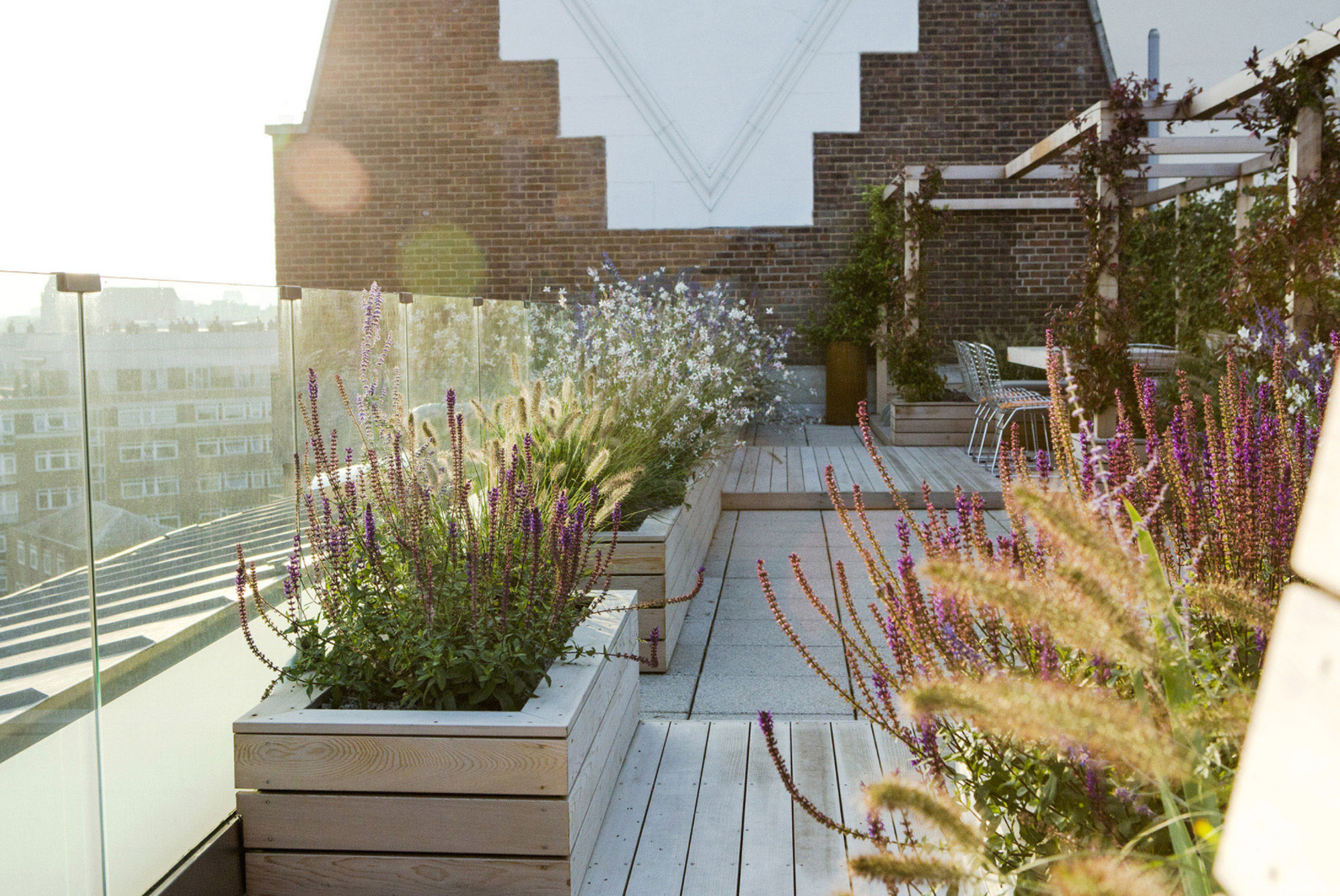 Landscaped rooftop garden in London by designer Adolfo Harrison