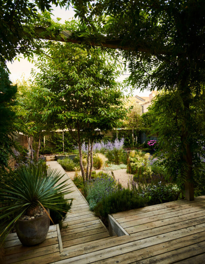 Landscaped garden in London by designer Adolfo Harrison