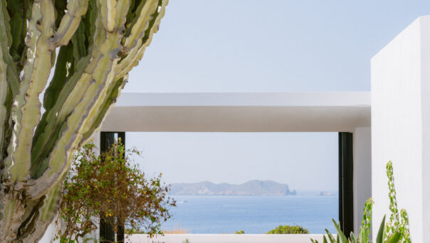 Best of Ibiza – newsletters94