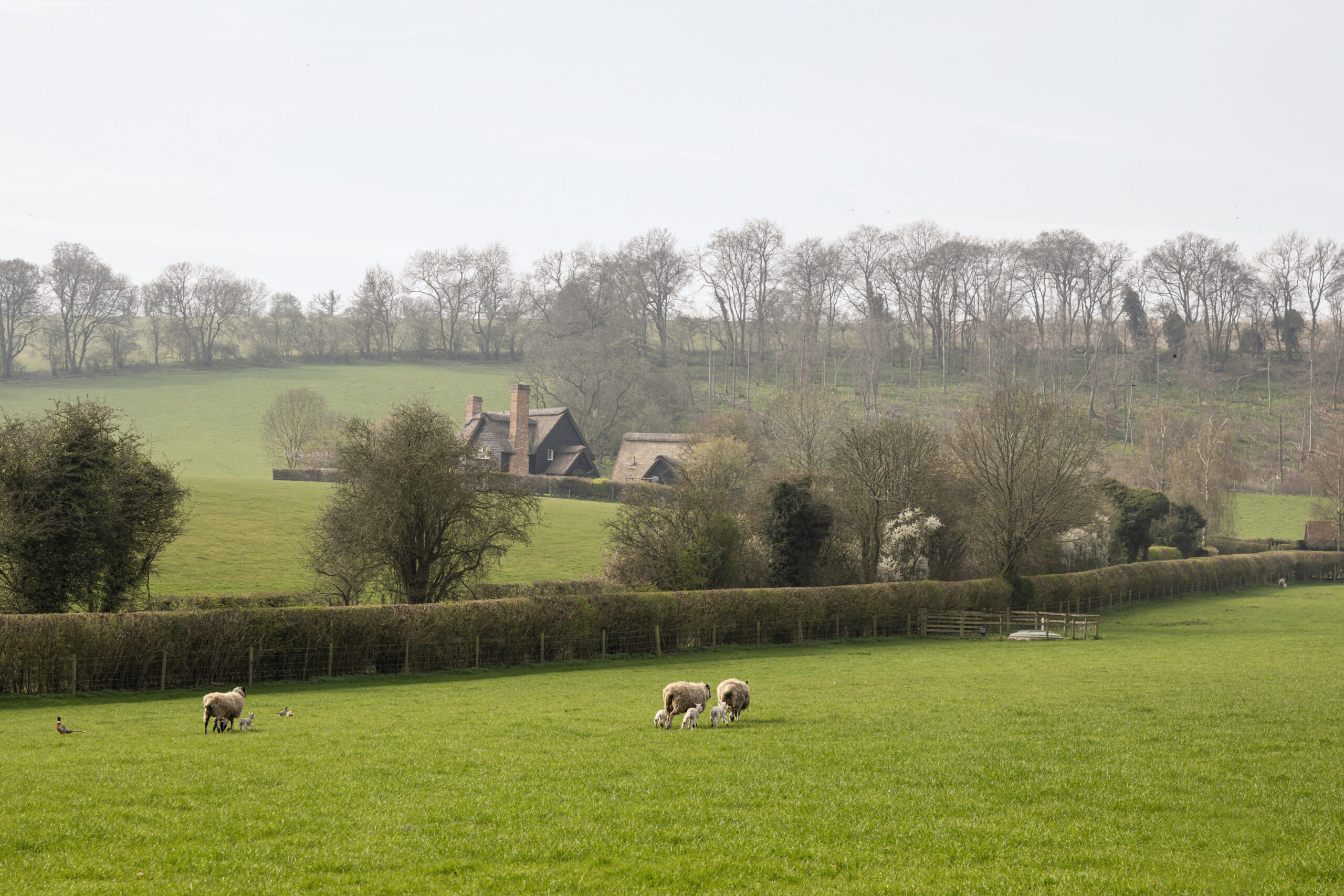 DN-Berkshire-Cottage-For-Rent-Lower-Northend-69_Lo