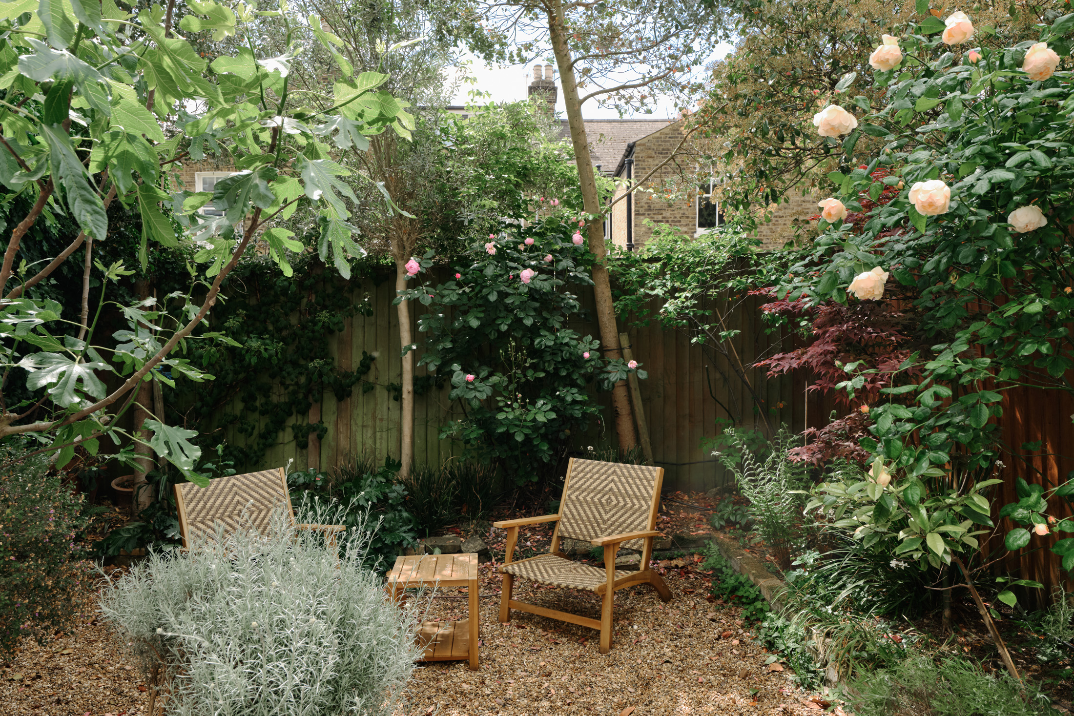 DN – For Rent – Dunmore Road (1)