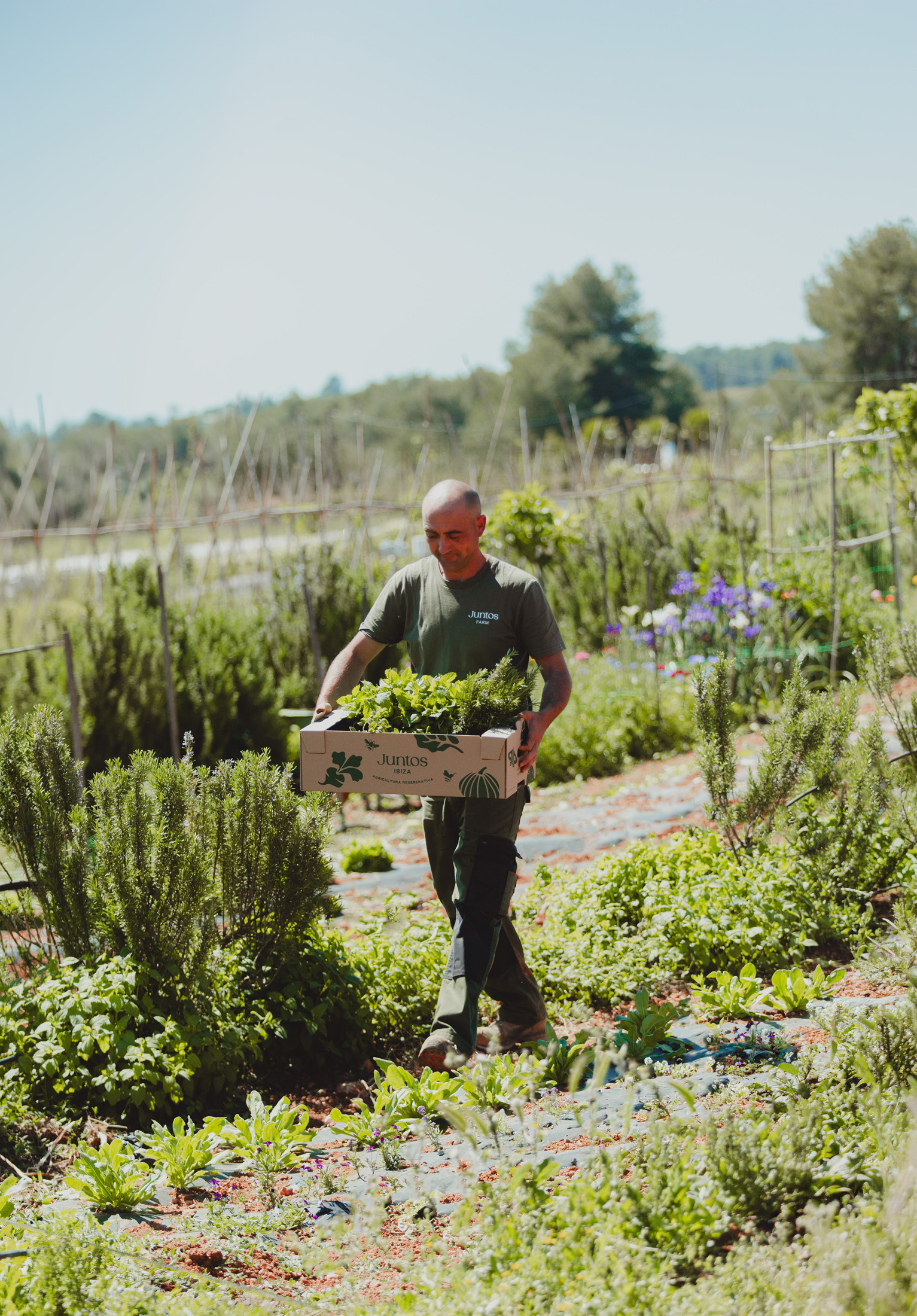 DN-Ibiza-Journal-Juntos-Farm (3)