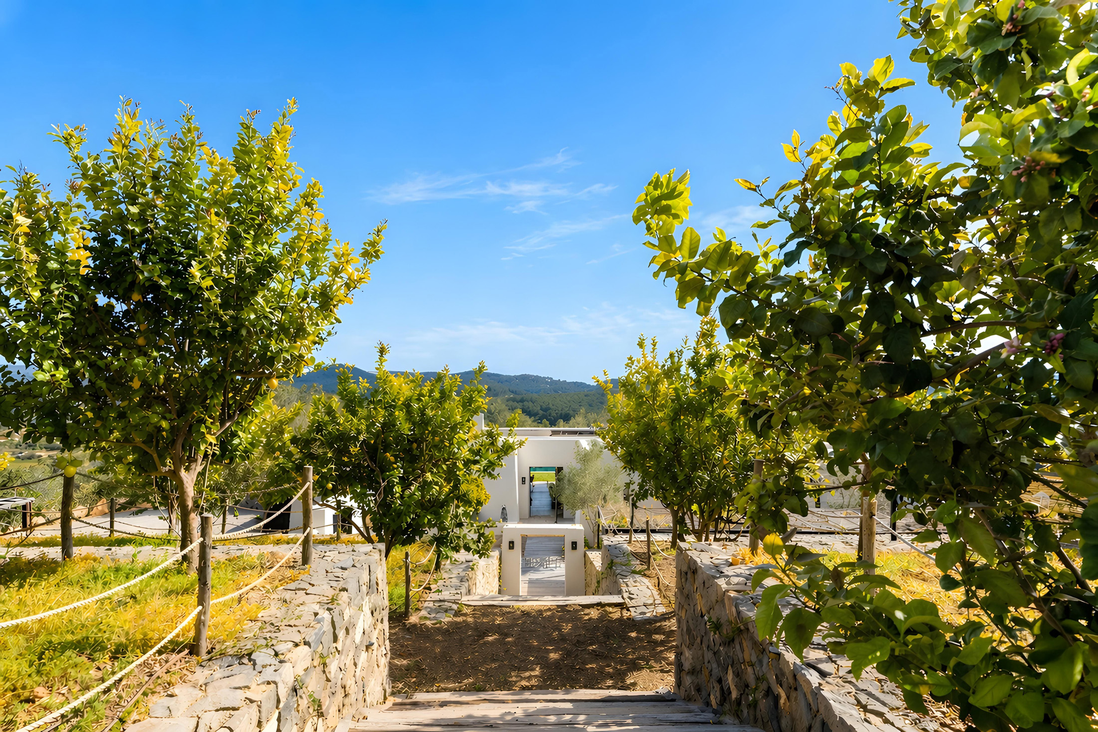 DN-Ibiza-Luxury-Villa-For-Rent-Can-Santora-6