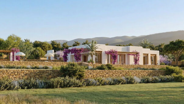 DN-Ibiza-Luxury-Villa-For-Sale-Amara (11)