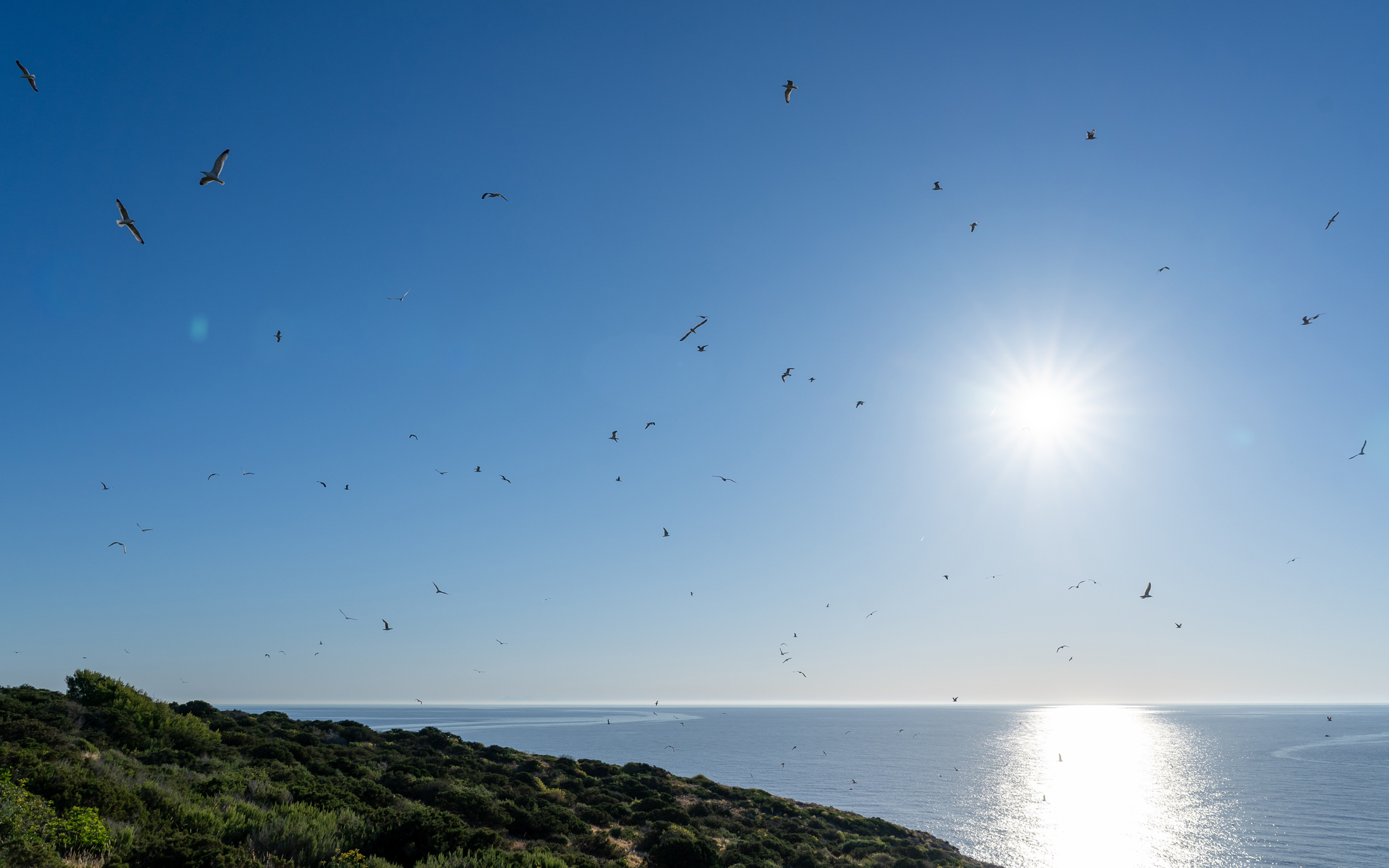 DN-Ibiza-Luxury-Private-Island-For-Rent-Elenora-Villa