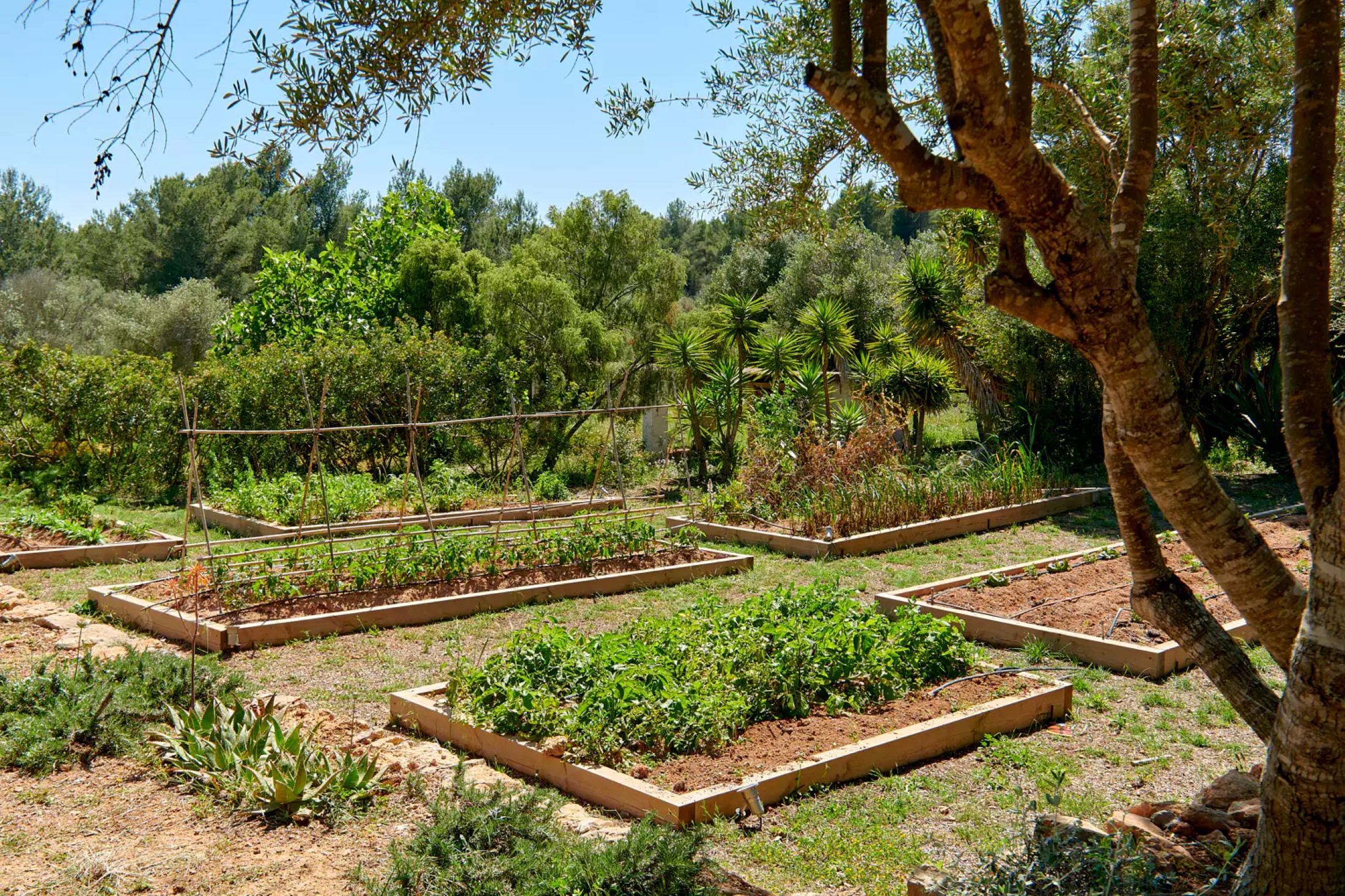 DN-Ibiza-Villa-For-Rent-Casa-Paloma (62)