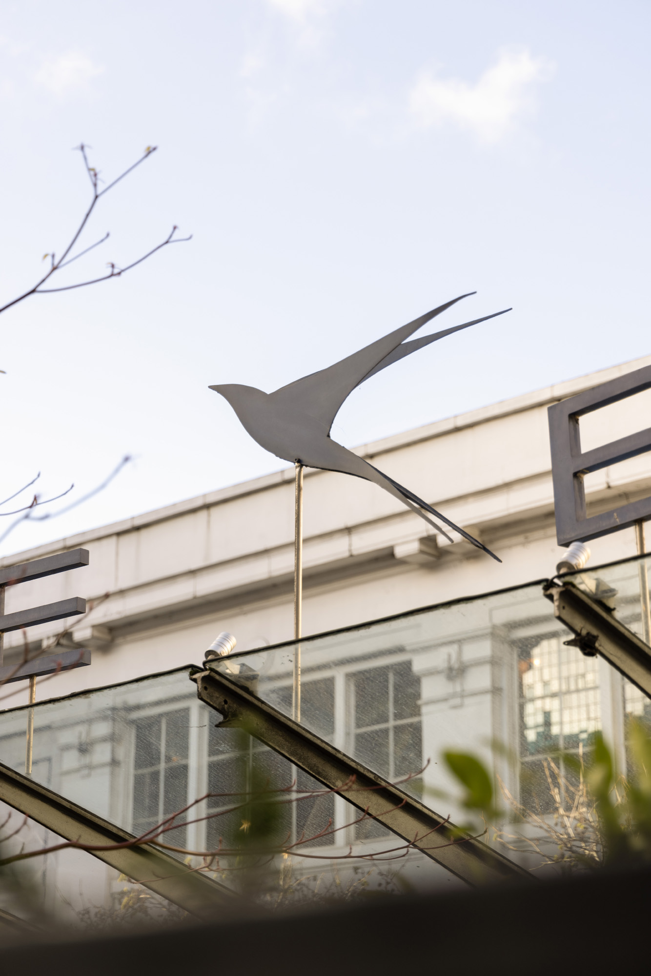 Domus-Nova-Area-Guide-Chelsea-South-Ken-Best-Bluebird
