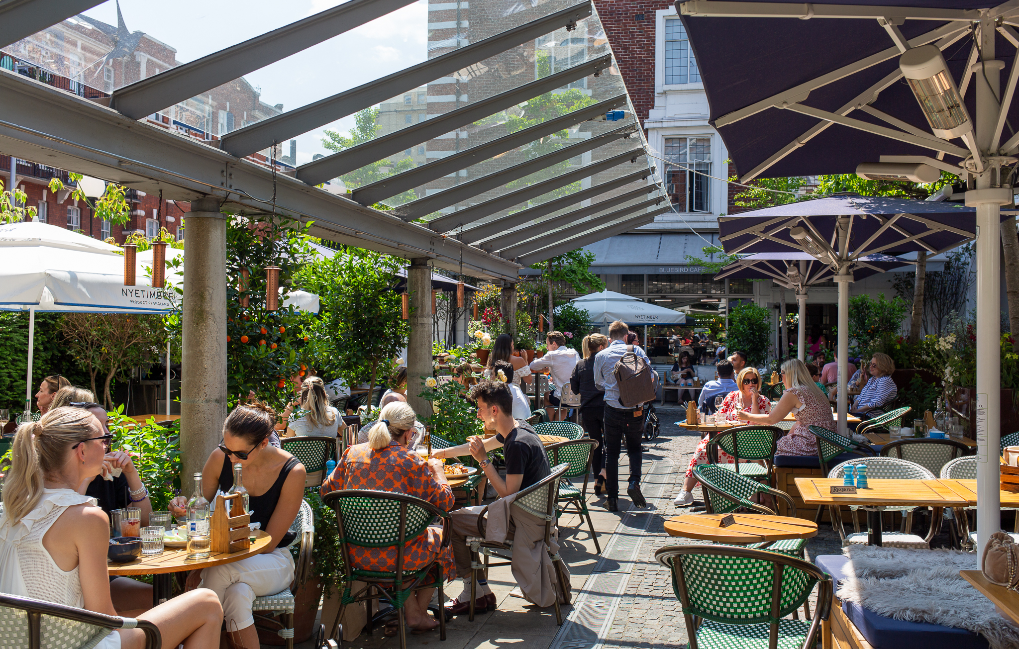 Domus-Nova-Area-Guide-Chelsea-South-Kensington-Best-Restaurants-Bluebird (4)