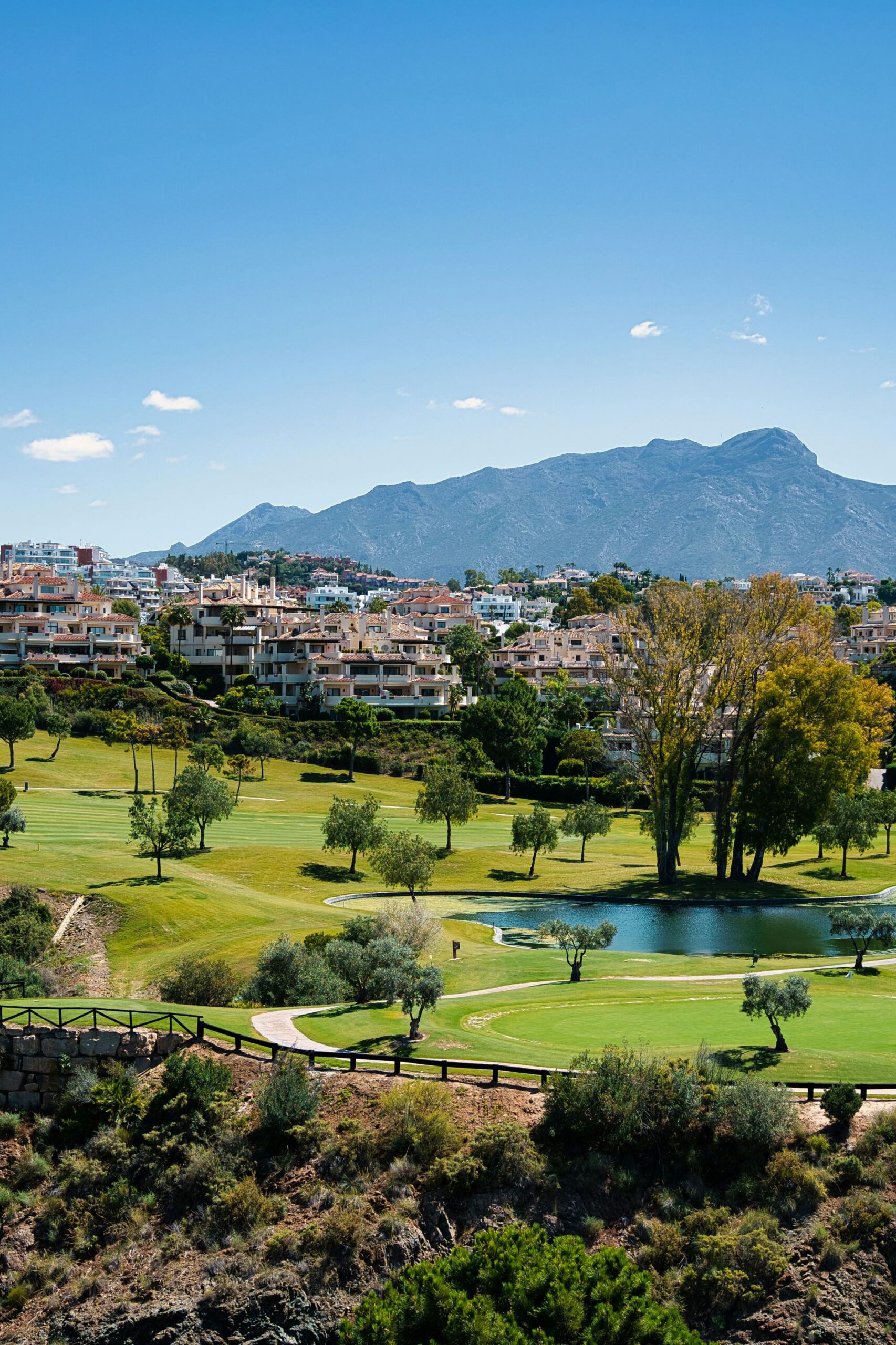 Domus-Nova-Barnes-International-luxury-villa-for-sale-Marbella