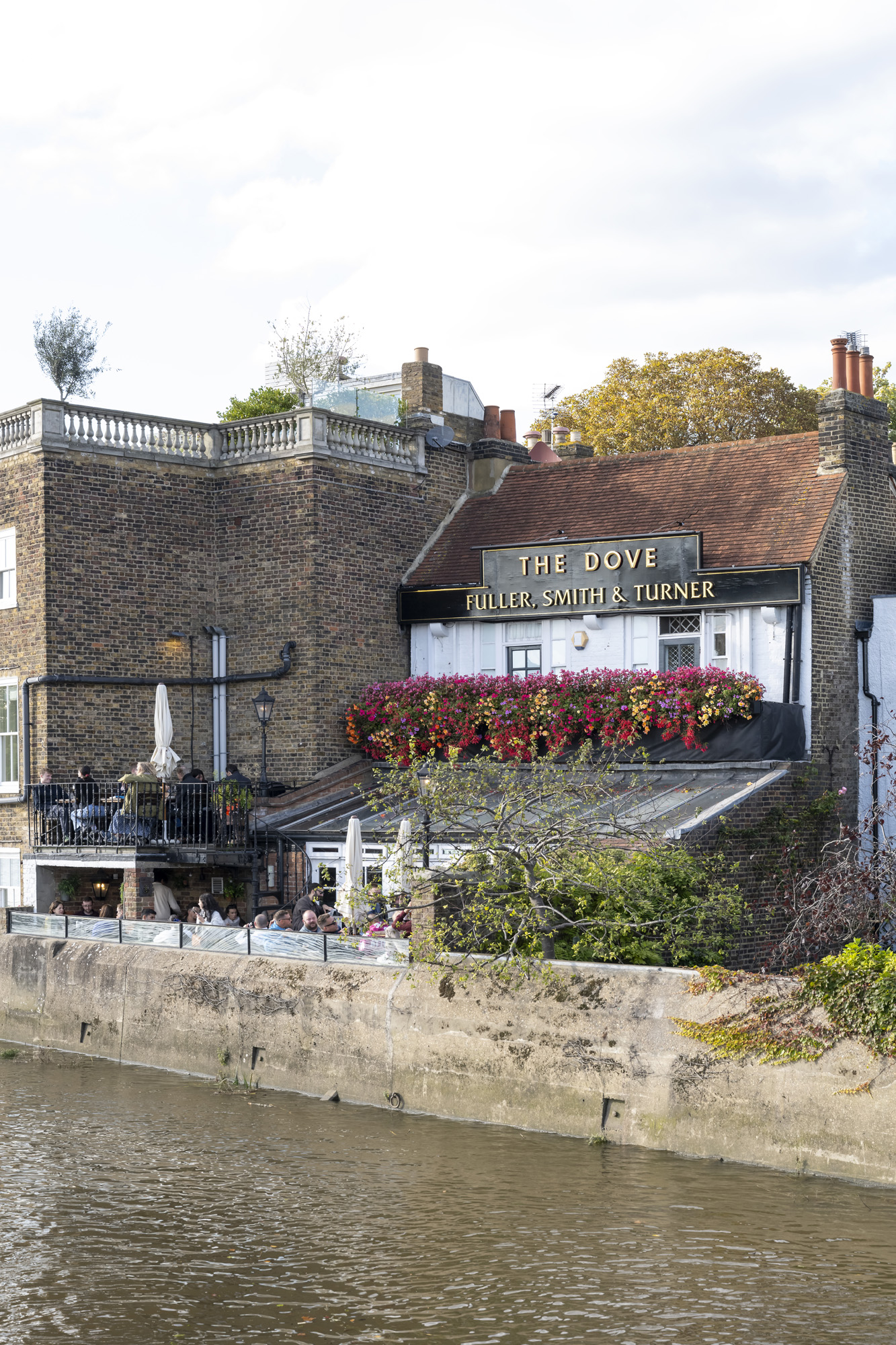 Domus-Nova-Brook-Green-Hammersmith-river-best-pubs-the-dove (3) – Copy