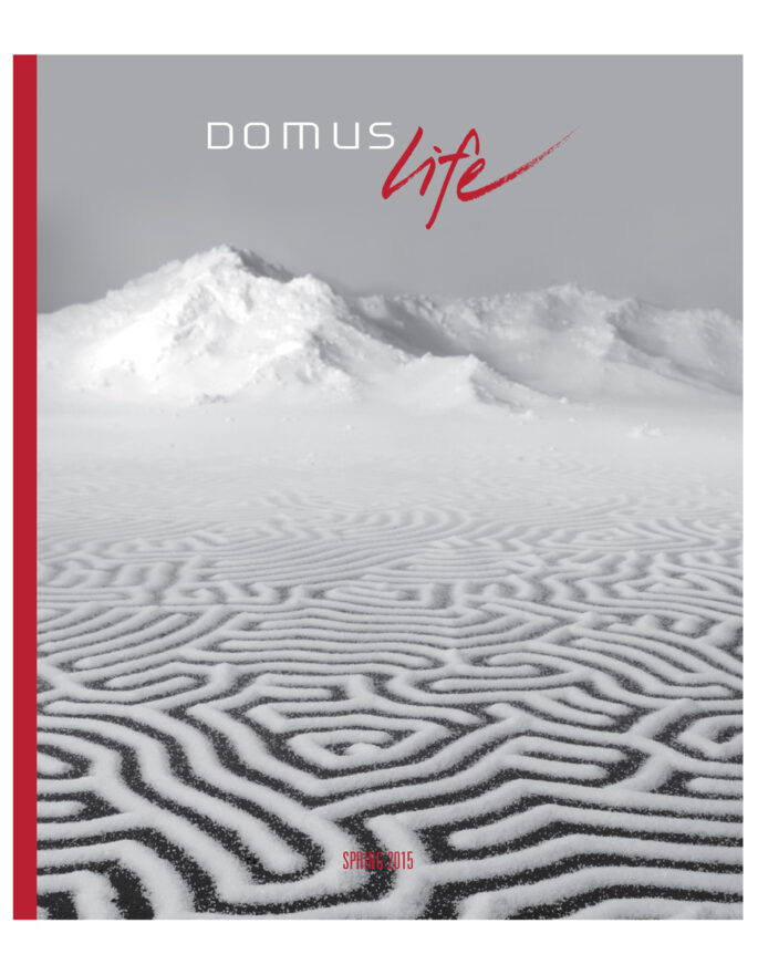 Domus Nova Covers_0012_Domus Nova issue 19 (dragged)