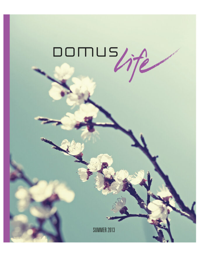 Domus Nova Covers_0018_Domus Nova issue 13 (dragged)