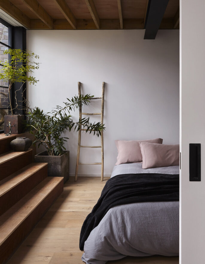 Domus-Nova-Directory-Thiss-Studio