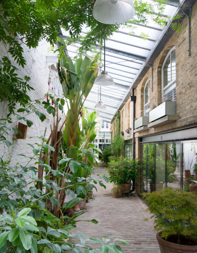 For Sale: St Stephen Yard Notting Hill W11 glass extension with house plants and minimalist decor