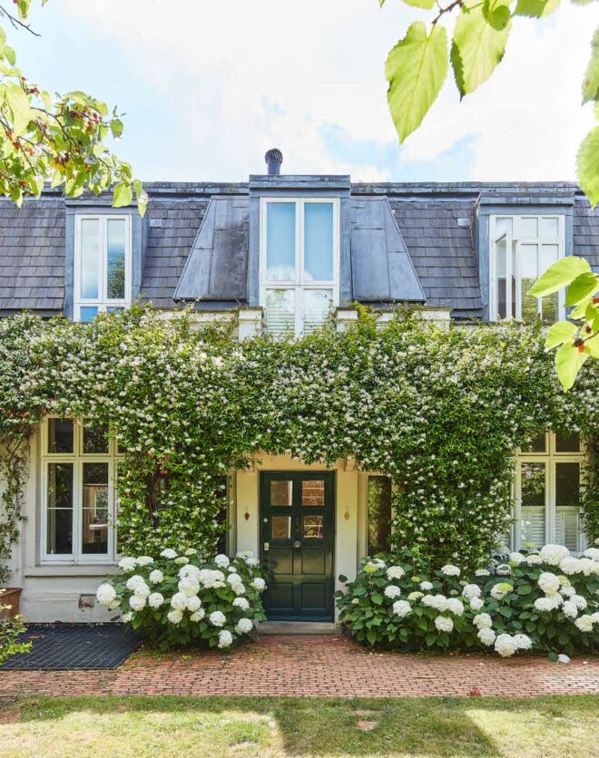 Domus Nova – Holland Villas Road – Ex