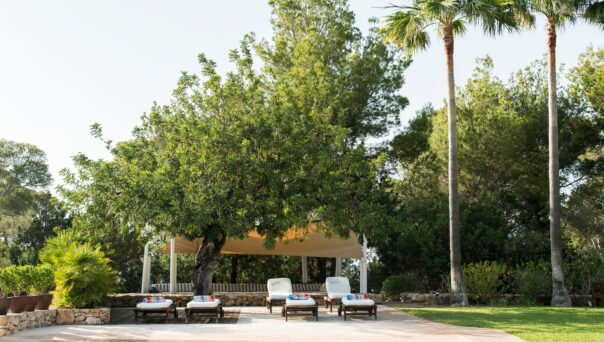 Pool and gardens of a luxury villa on Ibiza