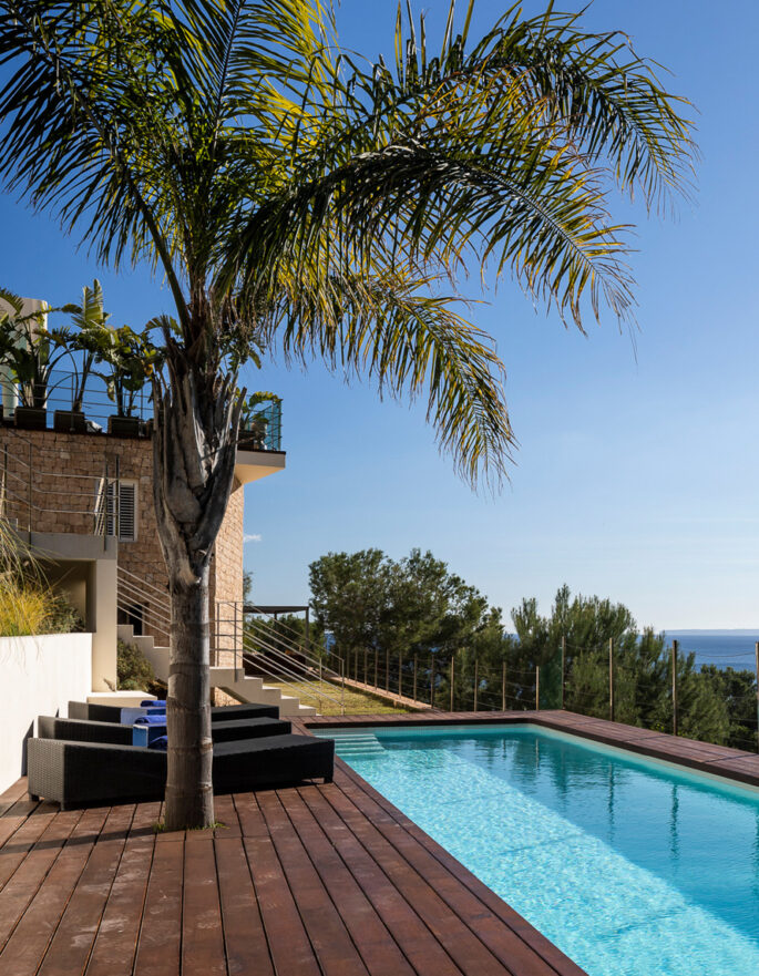 Palm tree looks over the pool of a luxury villa in Ibiza