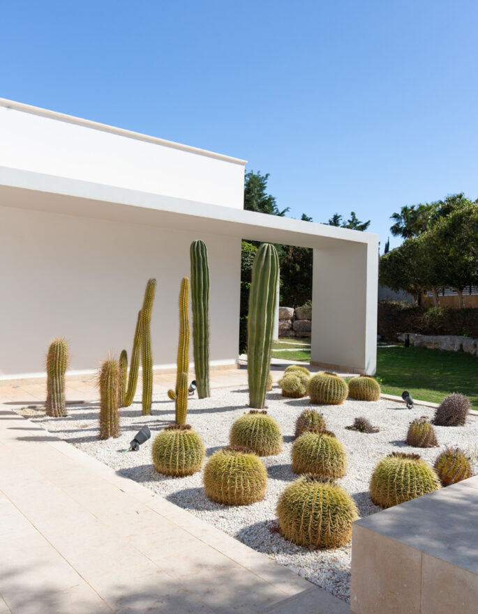 Cactus garden of a luxury villa in Ibiza