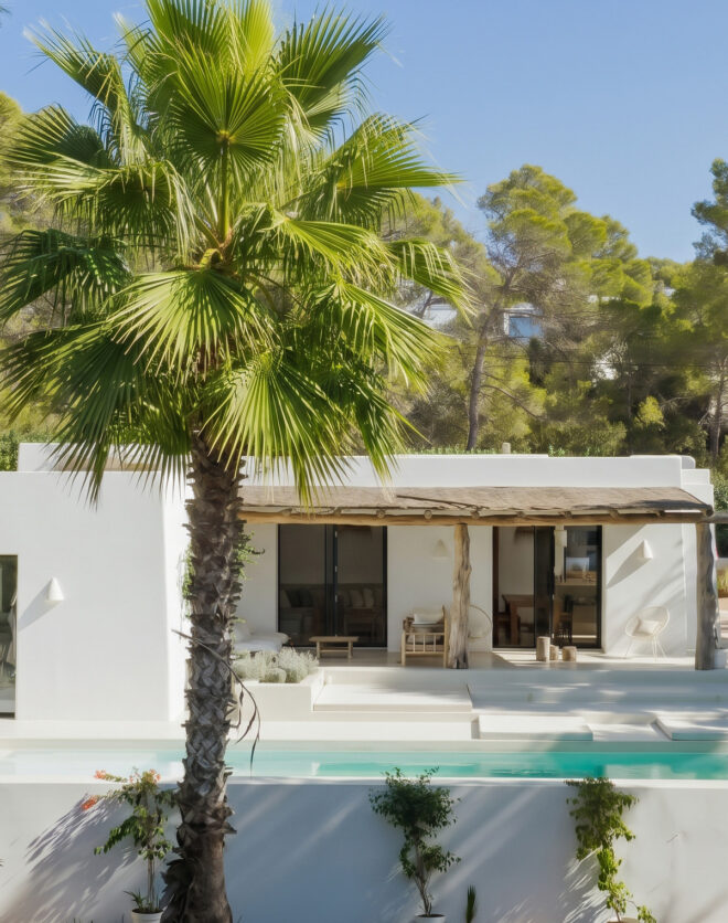 Domus-Nova-Ibiza-Luxury-Villa-For-Sale-Finca-Comte-HR (2)_
