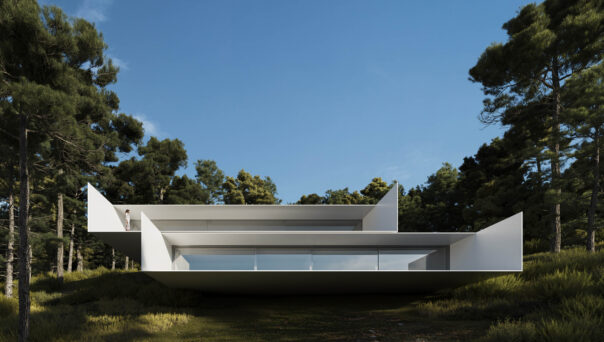 Domus-Nova-Ibiza-Luxury-Villa-For-Sale-Roca-Llisa (5)