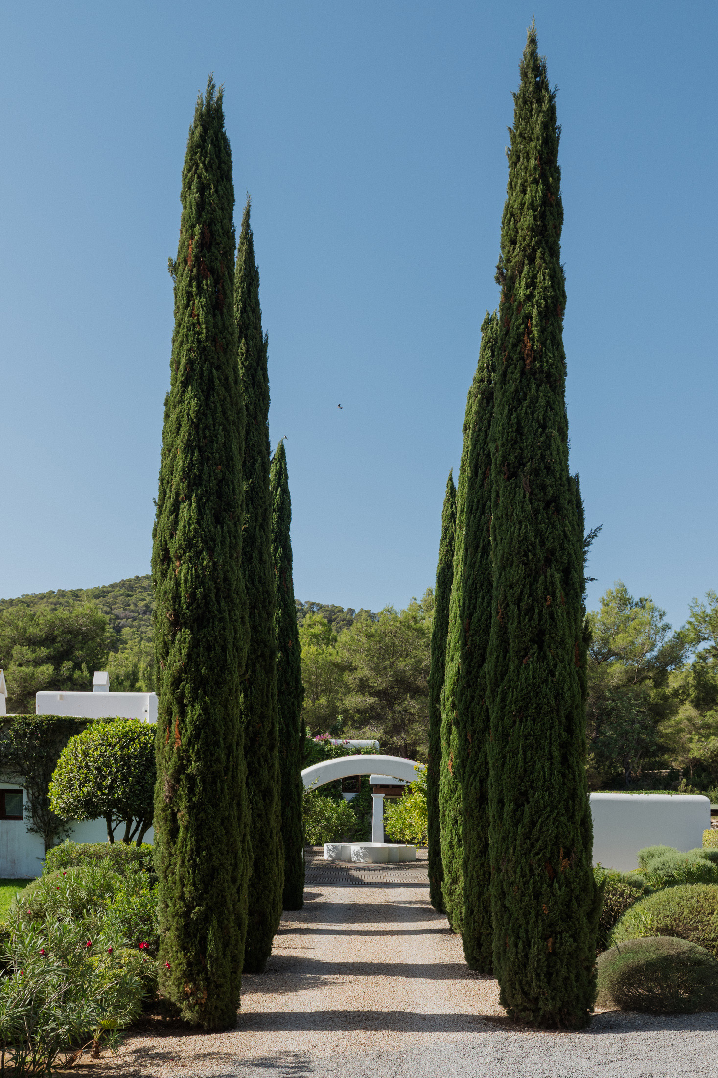 Domus-Nova-Ibiza-Luxury-Villa-for-Sale-Can-Furnet-LR (1)