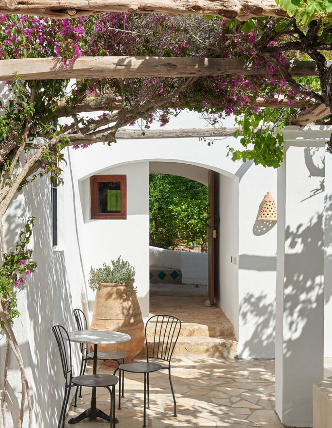 Foliage climbs a pergola above the shaded terrace of an Ibiza villa