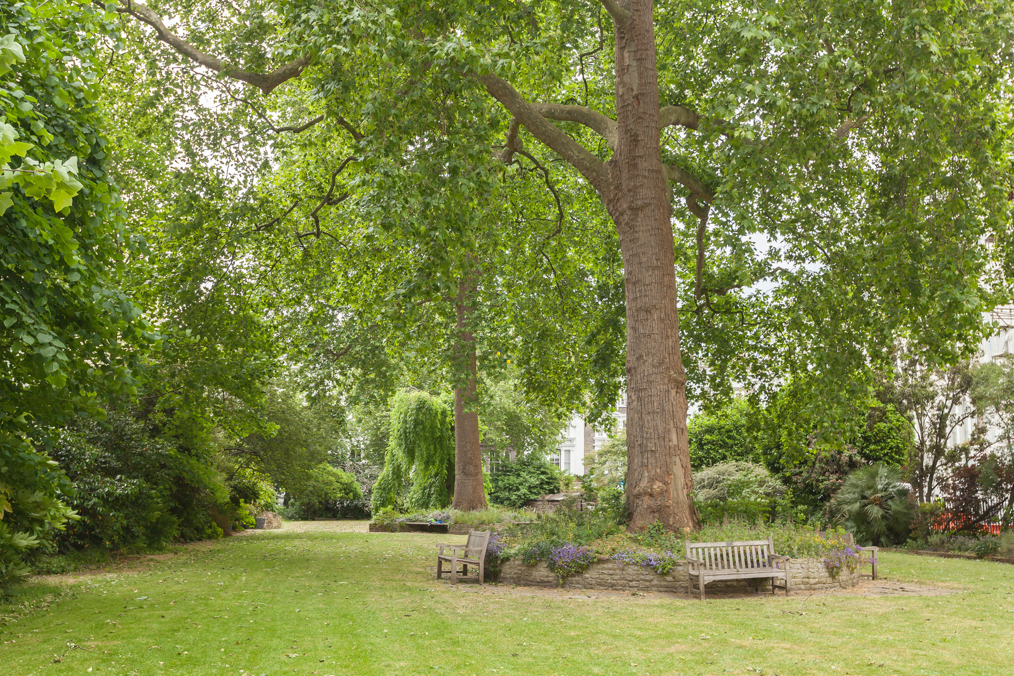 Domus-Nova-Leinster-Square-London-Property-To-Rent (20)