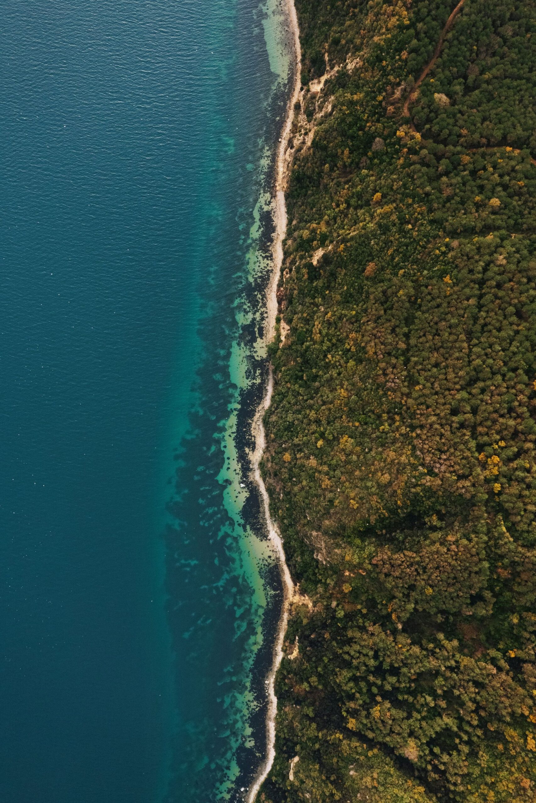 Domus-Nova-barnes-international-Costa-Brava-coastline-luxury-rentals