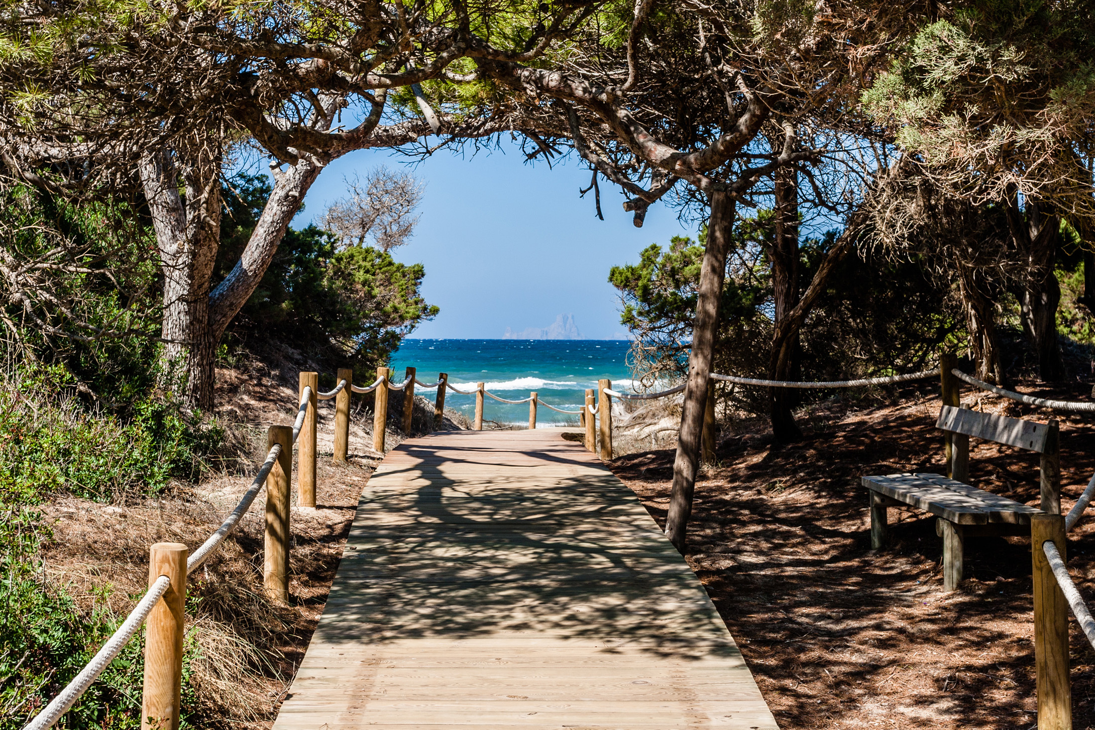 Forest Walkway to Las Salinas Ibiza