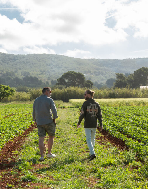 Two men walk through a cultivated field in Ibiza, backdropped by hills