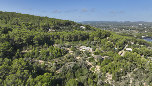 Aerial shot of a vast estate for sale in Ibiza