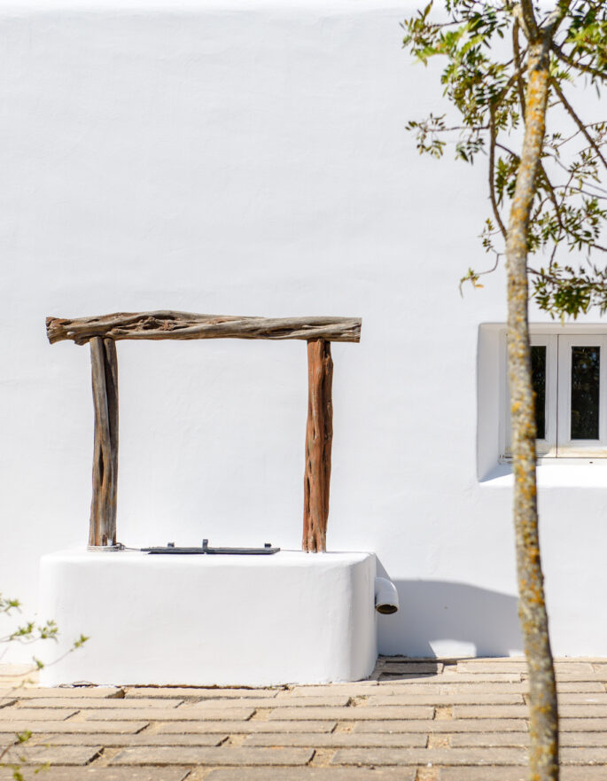 Ibiza-Finca-For-Sale-Tierra-11