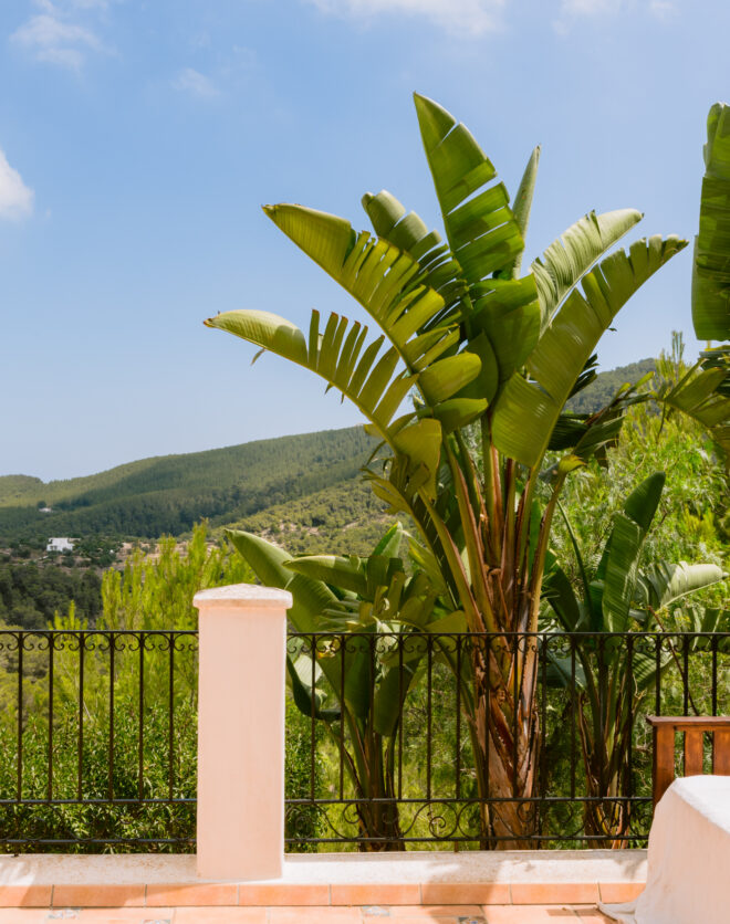 Mountain views of villa for sale in Ibiza