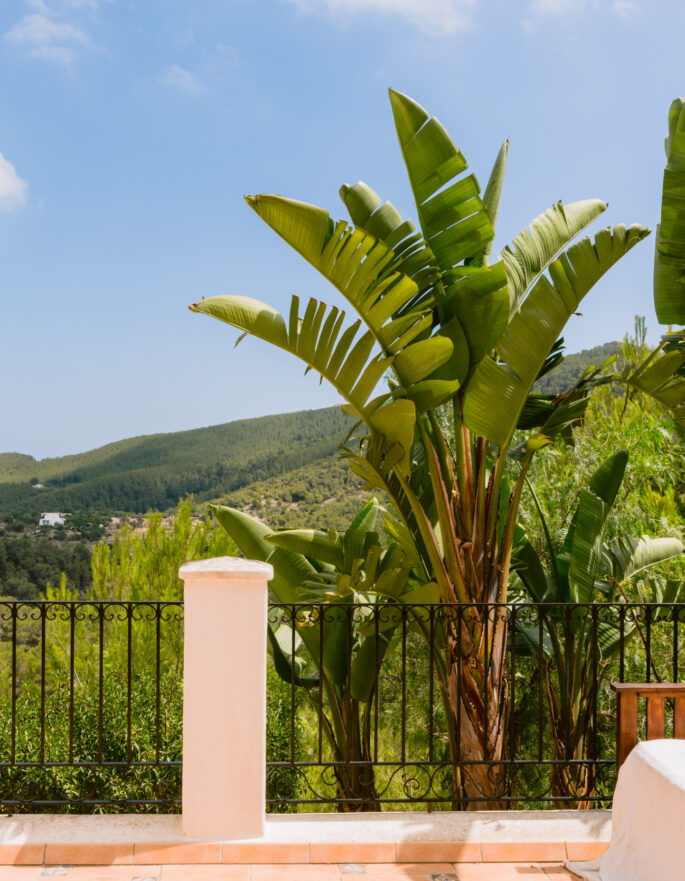 Mountain views of villa for sale in Ibiza