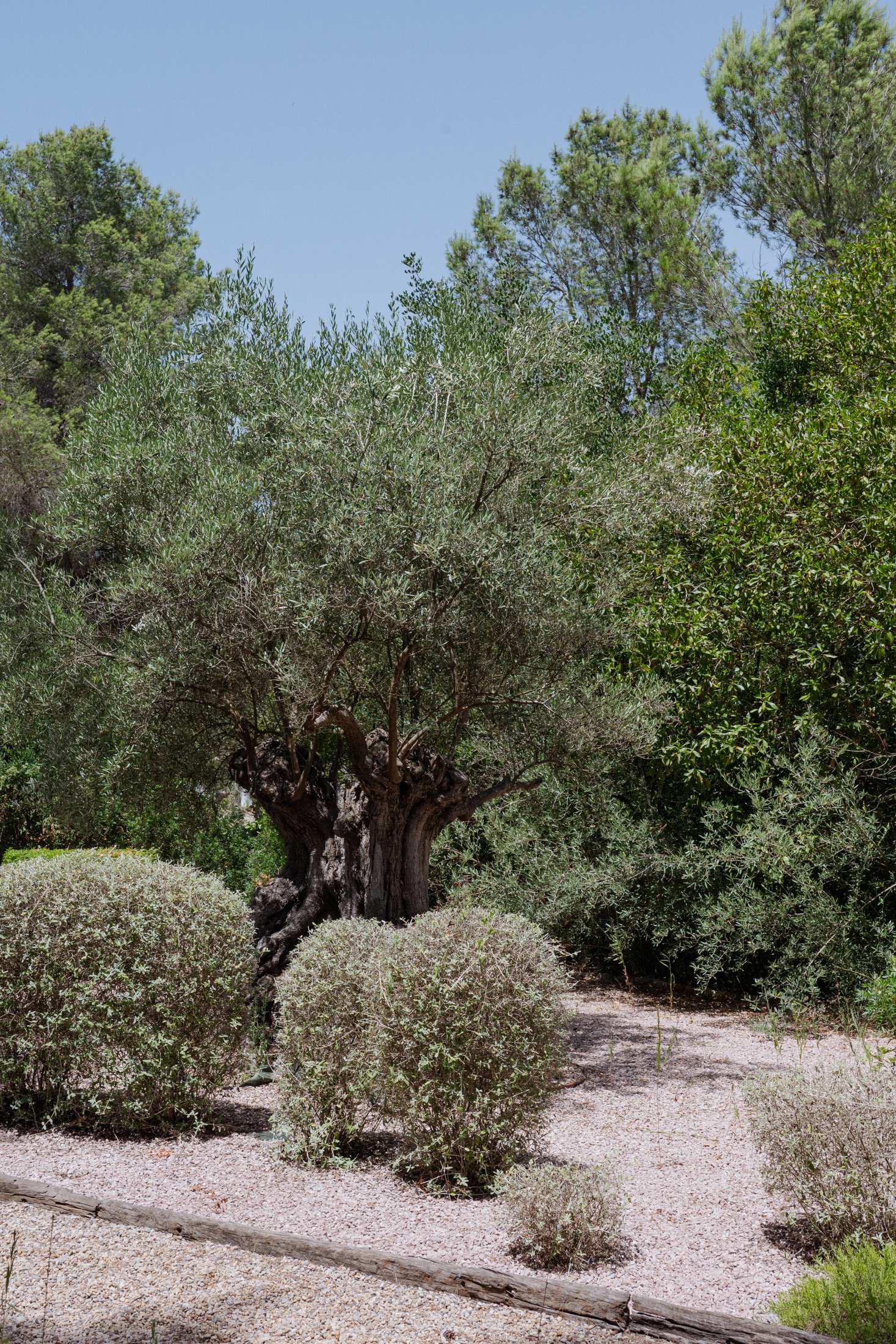 Ibiza-Luxury-Villa-For-Sale-Can-Ombra-Santa-Gertrudis (24)