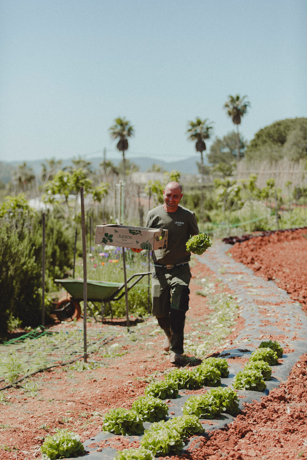 Ibiza-Sustainable-Farming-Juntos-Finna-Harris05