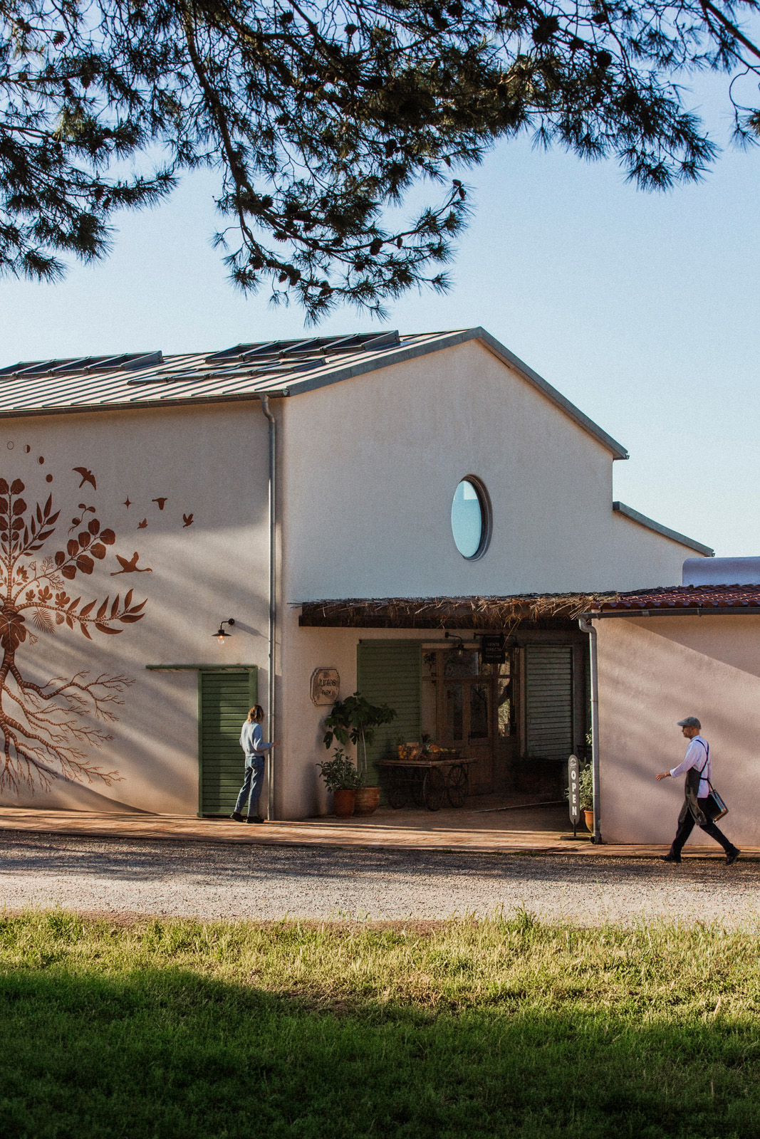 Ibiza-Sustainable-Farming-Juntos-Finna-Harris09