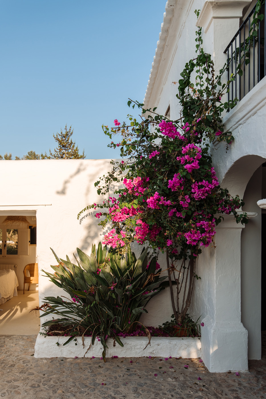 Luxury-Ibiza-Villa-To-Rent-Finca-Arcos_61