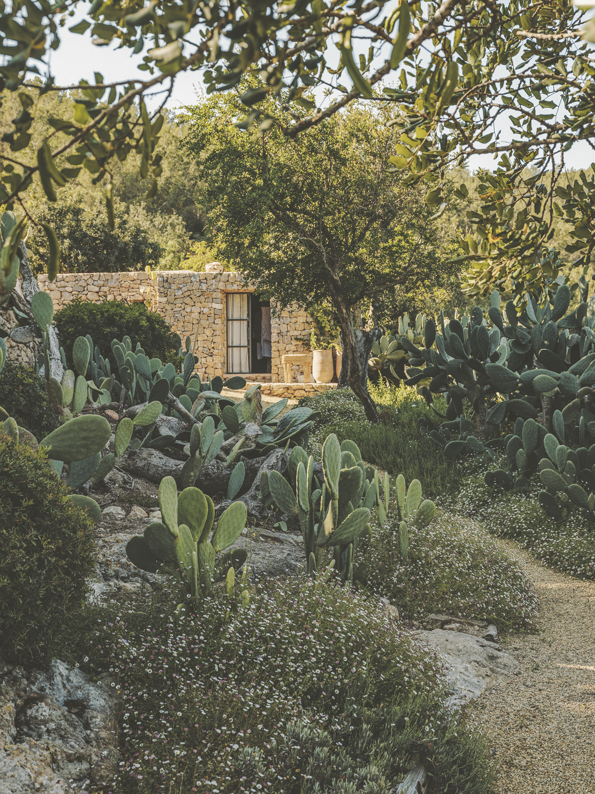Ibizan garden by garden architect Juan Masedo photographed by Salva Lopez
