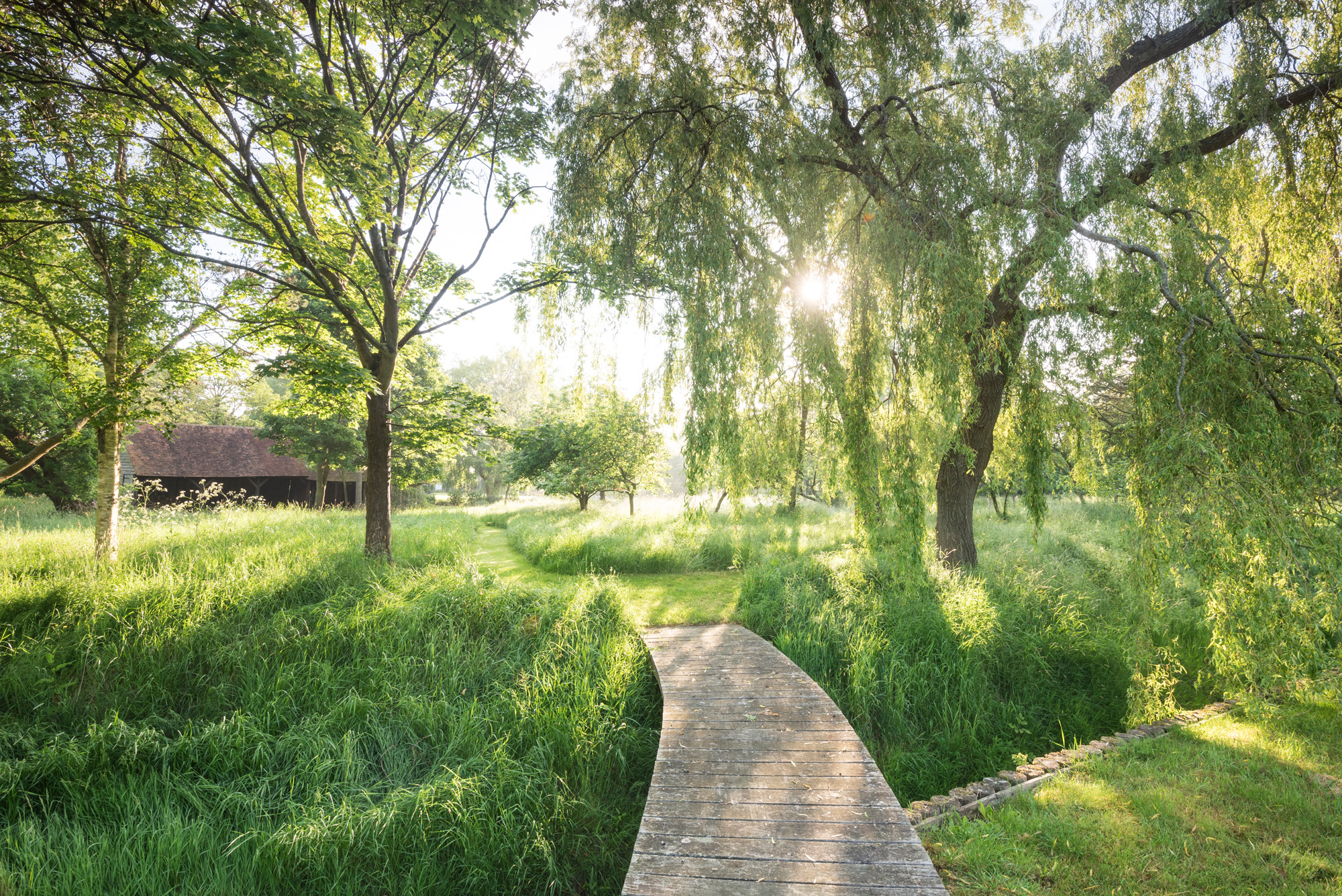 Pathway with trees and grass by Marcus Barnett - luxury garden design in London