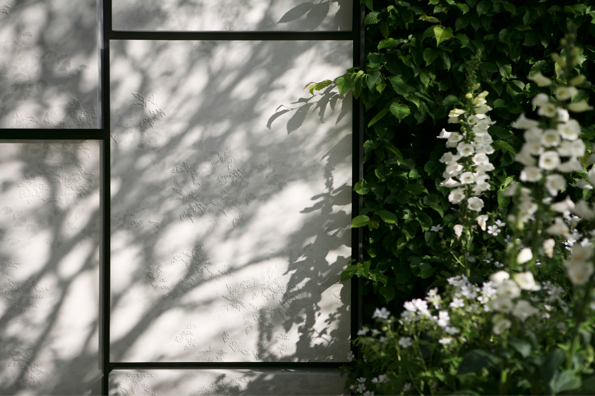 Dappled sunlight by Marcus Barnett - luxury garden design in London