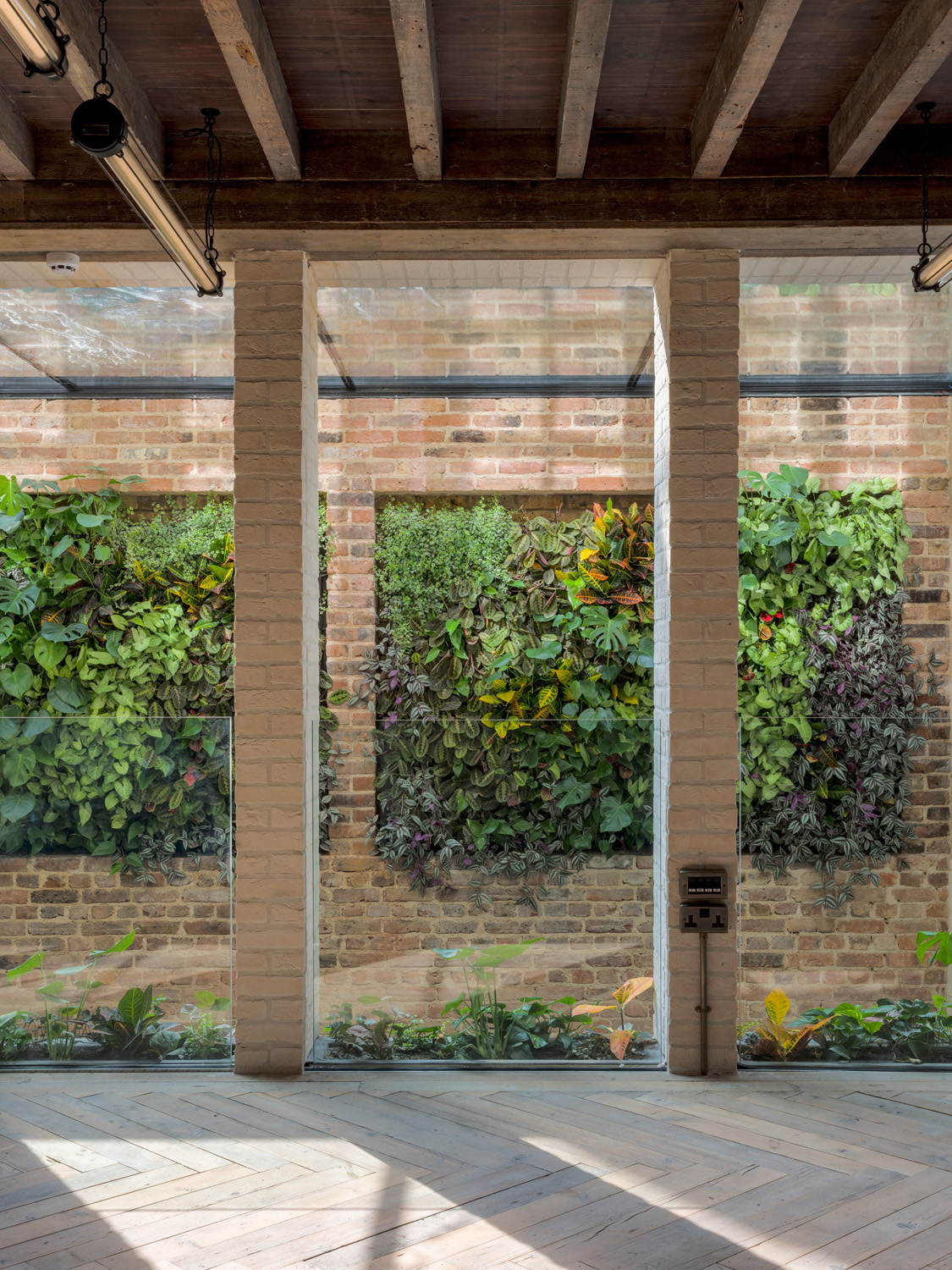 Glass windows by Morrow & Lorraine - contemporary architecture design studio in London