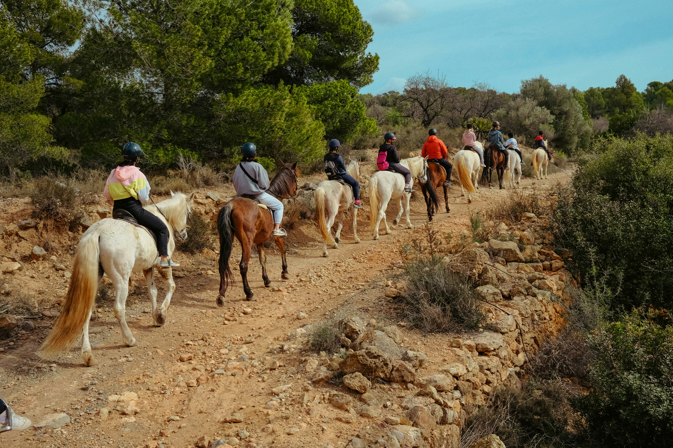 North-East-Ibiza-Area-Guide-Horseriding