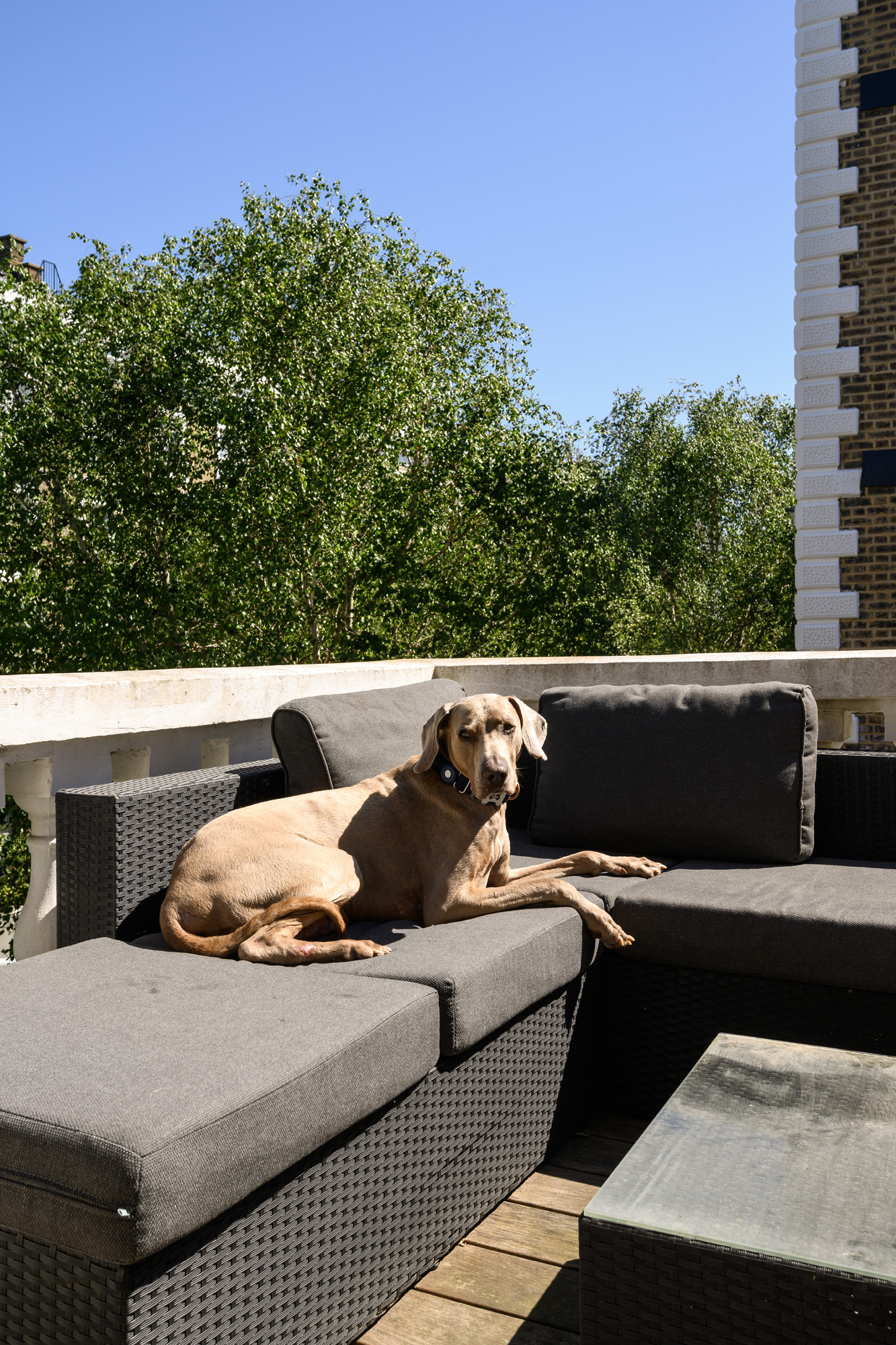 Notting-Hill-House-For-Apartment-Alexander-Street-2_Lo