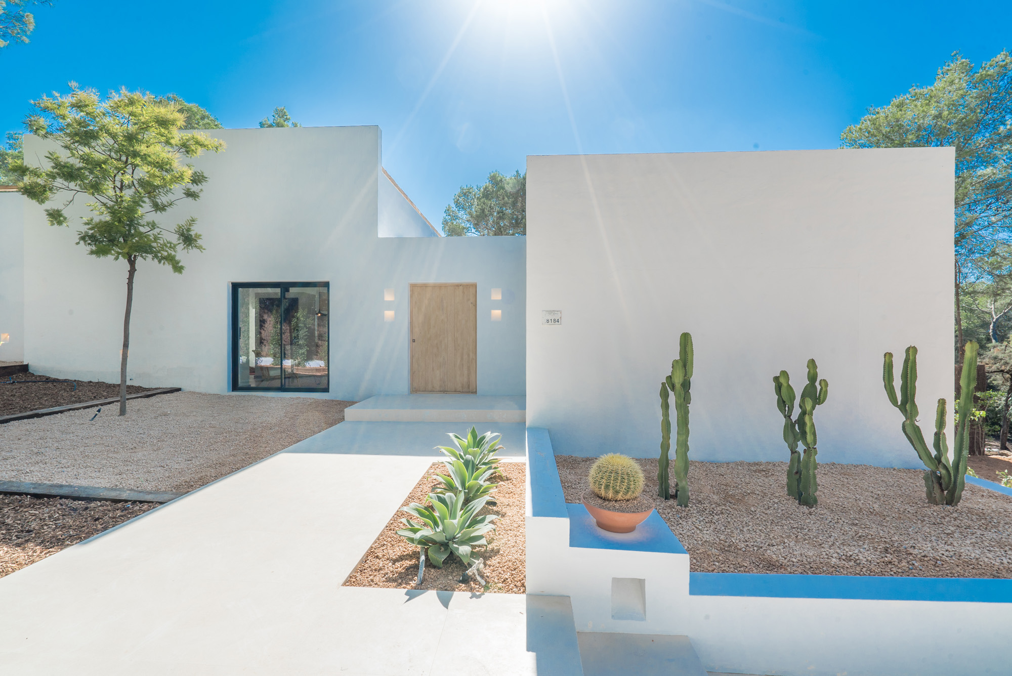 Plants and exterior house by Novaforma - luxury and contemporary architecture design studio in Ibiza