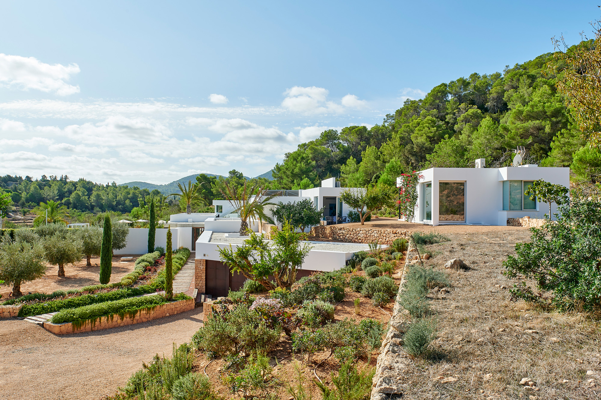 Garden by Pep Torres - contemporary architecture and design studio in Ibiza