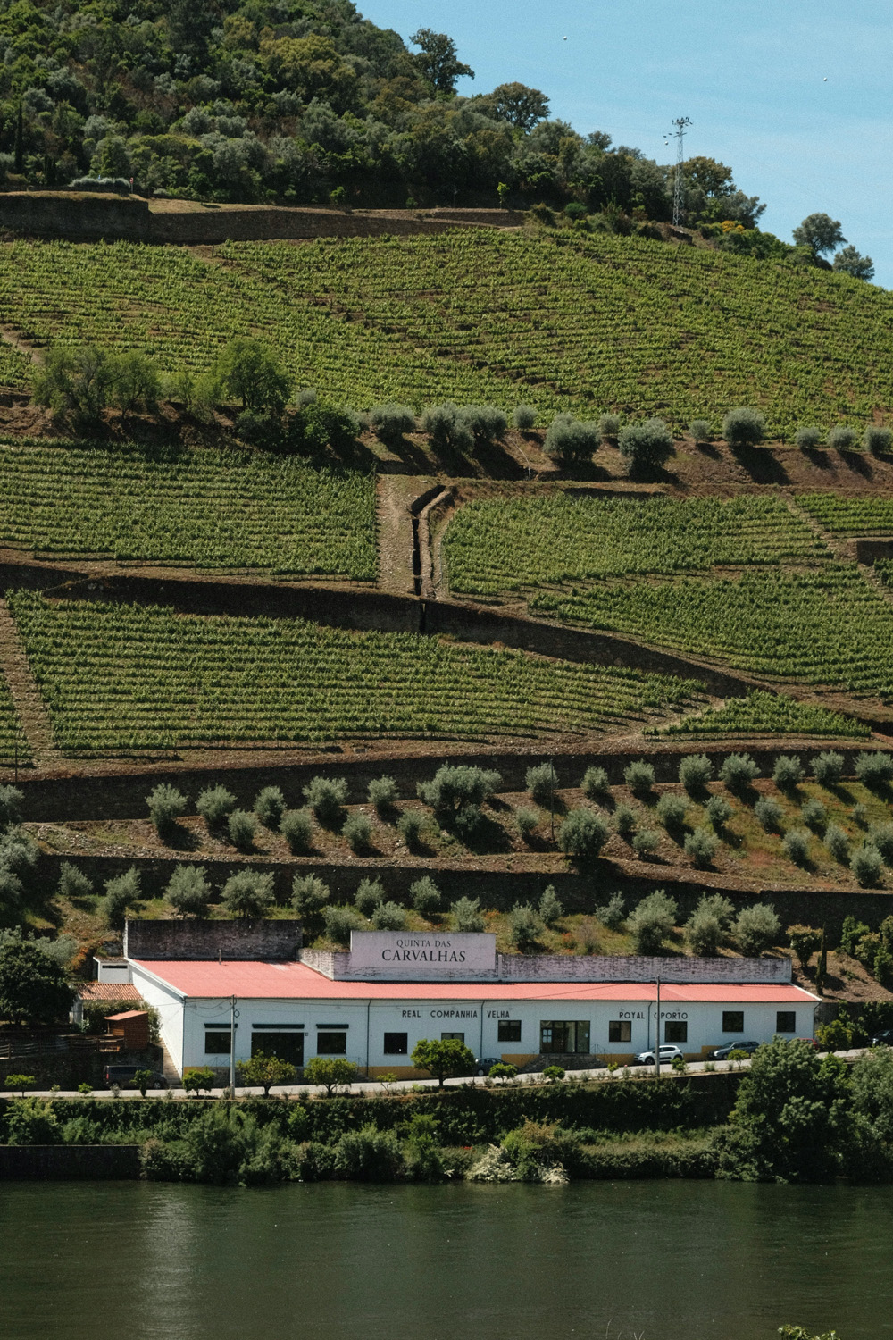 Portugal-Porto-Luxury-House-Apartment-Property-For-Sale-Rent-1- (8)