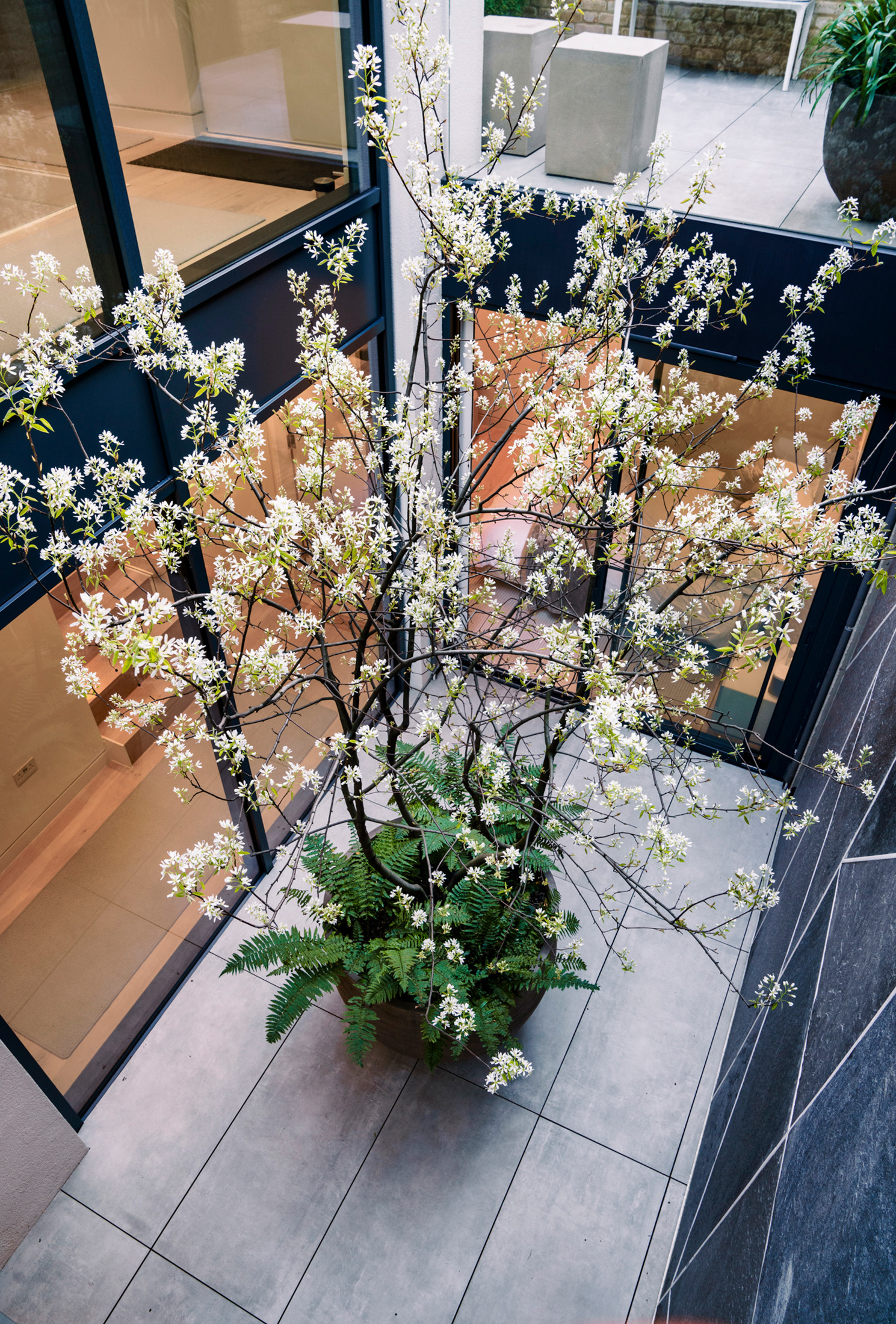 Tom Simpson garden design